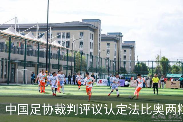 中国足协裁判评议认定法比奥两粒进球均为好球